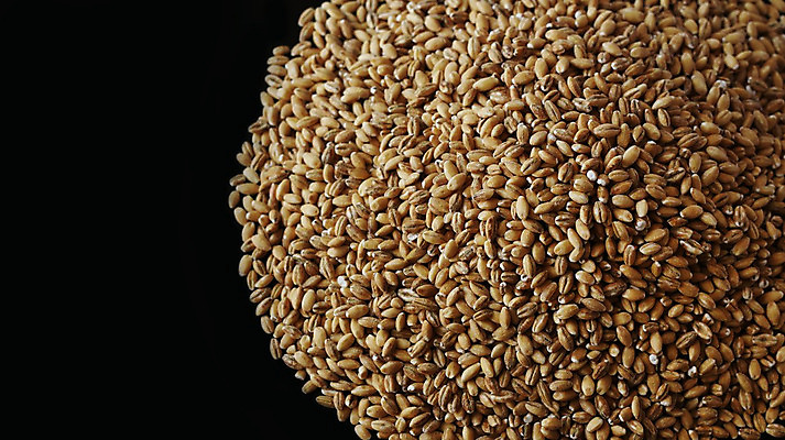 포토 JPG 해외이미지 식물 음식 빵 백그라운드 농업 다이어트 재료 자연 건강 씨앗 사람없음 농작물 농장 갈색 노란색 쌓기 우주 검은색 식사 수확 시골 원형 낟알 시리얼 밀 먹기 유기농 질감 알맹이 날것 보리 쏟아짐 칼로리 흙더미 고립 생식 채식주의자 호밀 많음 해외202004 해외포토 도형 웰빙 산업 컬러 컨셉 모션 곡류 흙 생태계 채식 파일형식 더미 이미지허브