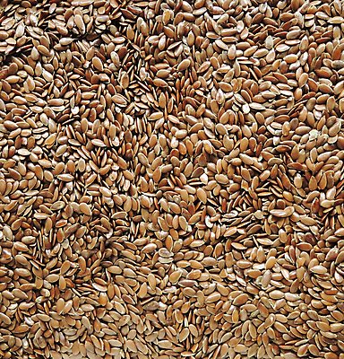 포토 JPG 해외이미지 음식 백그라운드 재료 탁자 건강 요리 씨앗 사람없음 목재 가로 약 갈색 노란색 쌓기 껍질 약재 그룹 붓기 낟알 시리얼 삽 국자 날것 쏟아짐 바이오 식용 아마 디테일 해외202004 해외포토 나무 식물 꽃 컬러 가구 의학 모션 주방용품 파일형식 이미지허브