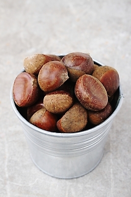 포토 JPG 해외이미지 계절 음식 크리스마스 겨울 씨앗 사람없음 갈색 쌓기 견과류 추수감사절 건강식 해외202004 해외포토 식물 기념일 기독교 컬러 모션 파일형식 이미지허브