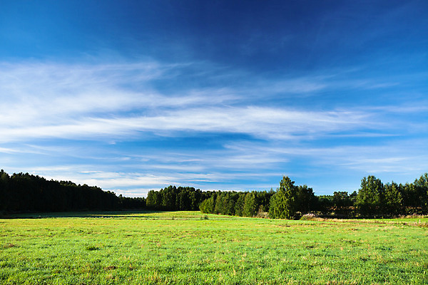 포토 JPG 해외이미지 식물 구름 계절 백그라운드 밭 농업 자연 하늘 날씨 풍경 잔디 사람없음 야외 초록색 여름 파란색 햇빛 태양 농장 맑음 봄 활발 시골 신선 땅 장면 내추럴 땅바닥 밭일 파라다이스 평야 수평선 해외202004 해외포토 자연요소 산업 컬러 컨셉 바닥 생태계 파일형식 이미지허브