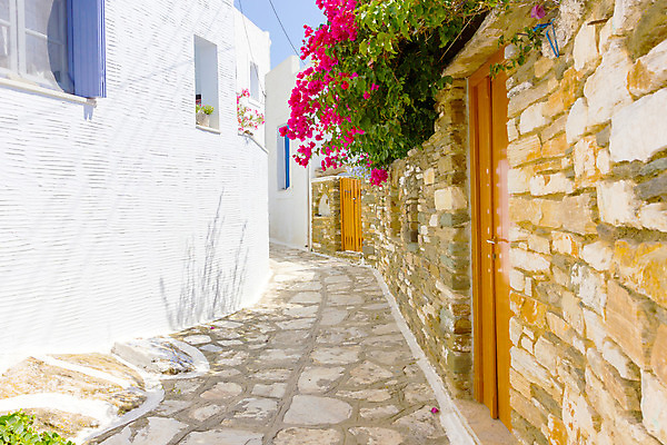 포토 JPG 해외이미지 꽃 건축양식 풍경 사람없음 관광지 교회 마을 맑음 그리스 미코노스섬 해외202004 해외포토 식물 건축 유럽 섬 여행 종교건축 날씨 건물 파일형식 이미지허브