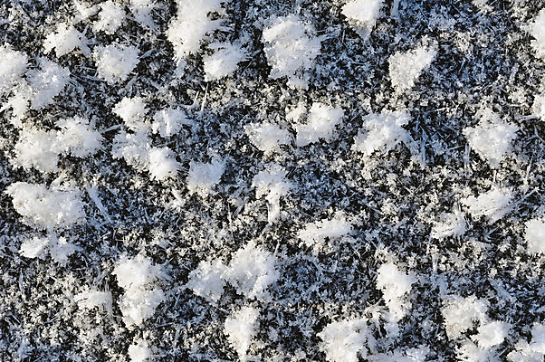 포토 JPG 해외이미지 계절 백그라운드 크리스마스 겨울 자연 표면 날씨 추상 휴가 불꽃 사람없음 야외 파란색 빛 반짝임 평화 환경 냉동 얼음 추위 백발 흰색 눈송이 크리스탈 질감 서리 정사각형 부드러움 결정체 내추럴 해외202004 해외포토 자연요소 도형 헤어스타일 기념일 컬러 컨셉 무늬 모션 불 눈_날씨 감각 광석 생태계 파일형식 이미지허브