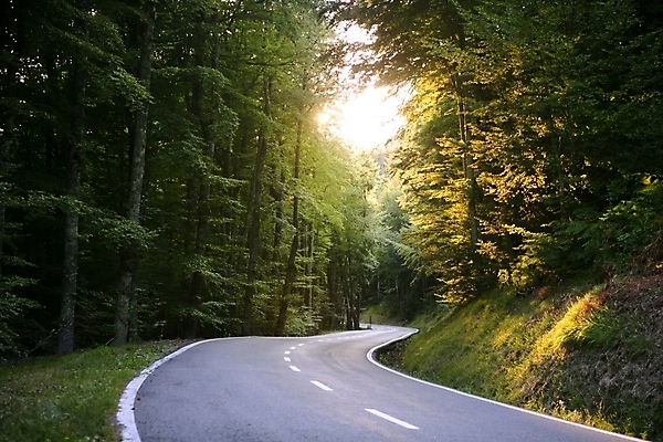 포토 JPG 해외이미지 나무 식물 계절 도로 길 선 여행 백그라운드 컨셉 잎 밭 곡선 교통시설 자동차 자연 산 거리 풍경 사람없음 야외 초록색 여름 파란색 빛 노란색 환경 어둠 침묵 봄 나뭇가지 시골 고속도로 숲 아스팔트 방향 사인 장면 굴곡 루트 방법 해외202004 해외포토 육상교통 컬러 교통 농업 소리 시설 생태계 파일형식 이미지허브