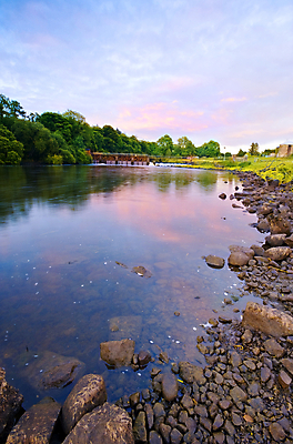 포토 JPG 해외이미지 나무 호수 자연 조류 하늘 항해 풍경 사람없음 물 강 일몰 숲 함선 암초 아일랜드 옛날 해외202004 해외포토 자연요소 식물 동물 유럽 배_교통 노을 생태계 파일형식 이미지허브