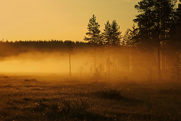 포토 JPG 해외이미지 오렌지 아침 사람없음 일출 안개 황금 해외202004 해외포토 주간 과일 날씨 노을 파일형식 이미지허브