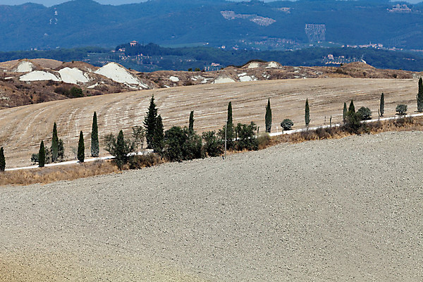 포토 JPG 해외이미지 나무 선 패턴 밭 농업 자연 건조 풍경 사람없음 여름 평화 환경 고요 이탈리아 사막 달력 성장 가을 시골 만취 언덕 부식 그림 포도밭 장면 시에나 토스카나 해외202004 해외포토 식물 계절 유럽 산업 컨셉 무늬 생태계 술취함 파일형식 이미지허브