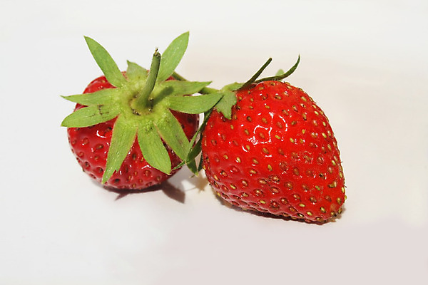 포토 JPG 해외이미지 열매 음식 다이어트 과일 딸기 디저트 건강 요리 씨앗 사람없음 빨간색 초록색 농작물 정원 수확 신선 맛 작음 순수 질감 생물학 서빙 향 레시피 내추럴 고립 바이오 채식주의자 비건 해외202004 해외포토 식물 교육 컬러 컨셉 농업 크기 채식 파일형식 이미지허브