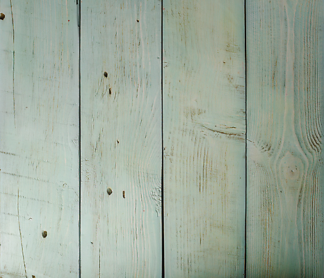 포토 JPG 해외이미지 나무 백그라운드 근접촬영 사람없음 목재 흰색 판넬 질감 카피스페이스 해외202004 해외포토 식물 뷰포인트 컬러 재료 공백 파일형식 이미지허브