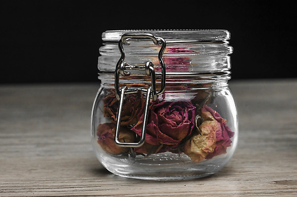 포토 JPG 해외이미지 식물 꽃잎 꽃 결혼 백그라운드 잎 꽃무늬 자연 건조 건강 선물 사랑 사람없음 빨간색 여름 장미 머리 스파 화목 수확 벚꽃 죽음 인사 신선 향기 부드러움 시들음 해외202004 해외포토 계절 감정 컬러 컨셉 무늬 농업 이벤트 신체부위 예절 감각 생태계 냄새 파일형식 이미지허브