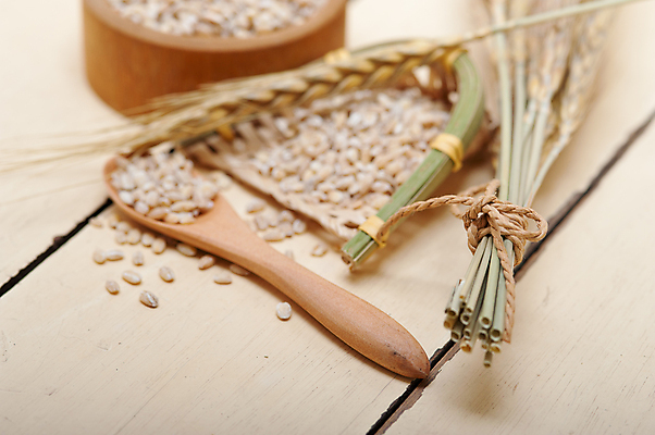 포토 JPG 해외이미지 근접촬영 사람없음 아웃포커스 농작물 낟알 보리 보리이삭 해외202004 해외포토 뷰포인트 농업 곡류 촬영기법 이삭 파일형식 이미지허브