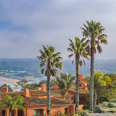 포토 JPG 해외이미지 나무 응시 여행 백그라운드 교실 자연 하늘 주택 안테나 파노라마 손바닥 풍경 사람없음 여름 고급 언덕 휴양지 장면 우루과이 해외202004 해외포토 식물 손 시선 계절 교육 컨셉 통신 학교 촬영기법 건물 장소 남아메리카 생태계 파일형식 이미지허브