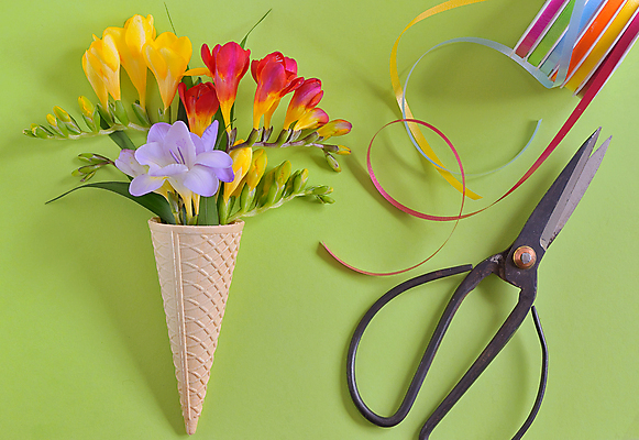 포토 JPG 해외이미지 기념일 꽃 리본 꽃다발 컨셉 크리스마스 꽃무늬 자연 기념 선물 사람없음 장식 초록색 파란색 노란색 새싹 정원 보라색 봄 수확 인사 신선 자주색 제비꽃 국자 복고 수선화 원뿔 라일락 와플 고립 해외202004 해외포토 도형 식물 계절 컬러 무늬 농업 주방용품 디저트 이벤트 예절 생태계 파일형식 이미지허브