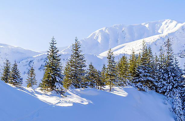 포토 JPG 해외이미지 나무 계절 길 여행 겨울 자국 자연 하늘 휴가 산 풍경 경사 사람없음 야외 빛 햇빛 태양 맑음 냉동 자유 황무지 정상 오솔길 돌산 고도 산등성이 서리 장면 지역 격려 우크라이나 절정 눈내림 가문비나무 해외202004 해외포토 자연요소 식물 감정 유럽 컨셉 모션 날씨 눈_날씨 생태계 파일형식 이미지허브