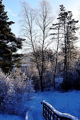 포토 JPG 해외이미지 겨울 사람없음 추위 해외202004 해외포토 계절 파일형식 이미지허브