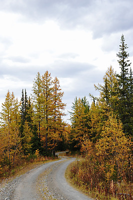 포토 JPG 해외이미지 나무 구름 계절 여행 잎 자연 하늘 산 풍경 사람없음 목재 노란색 침묵 가을 숲 땅 북극 언덕 러시아 장면 내추럴 삼림지대 해외202004 해외포토 자연요소 식물 유럽 컬러 재료 소리 극지방 생태계 파일형식 이미지허브