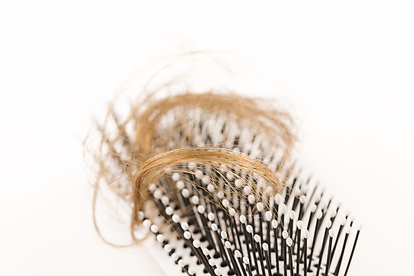 포토 JPG 해외이미지 근접촬영 사람없음 뷰티 머리카락 머리빗 엉킴 흰배경 헤어관리 두피케어 탈모 탈모클리닉 해외202004 탈모예방 해외포토 뷰포인트 백그라운드 머리 흰색 미용용품 예방 클리닉 증상 파일형식 이미지허브