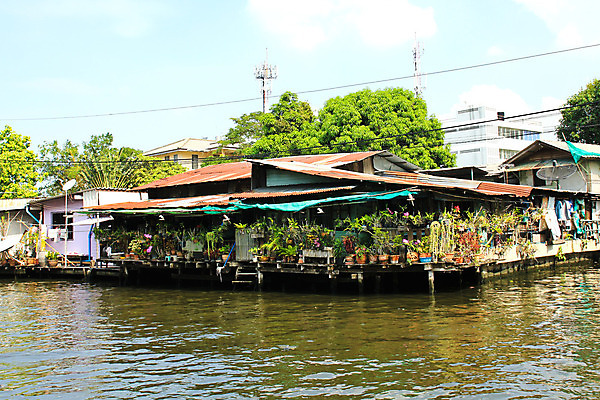 포토 JPG 해외이미지 나무 전통 아시아 문화 호수 음식 여행 비즈니스 교통시설 태국 자연 하늘 새로움 주택 사람 동양인 풍경 사람없음 건물 목재 초록색 물 파란색 빛 강 여행객 마을 새벽 흰색 시골 도시 보트 시장 방콕 운하 지역 옛날 이국적 해외202004 해외포토 자연요소 식물 건축물 나라 컬러 교통 컨셉 배_교통 재료 인종 시설 생태계 파일형식 이미지허브
