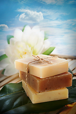 포토 JPG 해외이미지 식물 구름 꽃 백그라운드 컨셉 신체 자연 건강 연꽃 사람없음 목재 치료 수건 위생용품 스파 침묵 목욕 화장품 욕실 흰색 신선 바 고급 빨래 허브 삼베 순수 유기농 올리브 향기 비누 아로마테라피 내추럴 돌봄 샤워실 위생관리 핸드메이드 해외202004 해외포토 자연요소 나무 웰빙 열매 컬러 생활용품 가사 재료 의학 모션 관리 뷰티 소리 청결 생태계 냄새 테라피 샤워시설 파일형식 천_직물 이미지허브