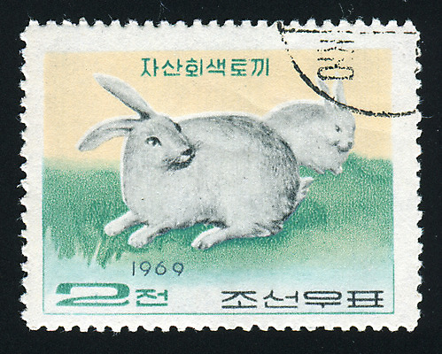 포토 JPG 해외이미지 동물 놀이 봉투 취미 사람없음 수확 흰색 토끼 신용카드 메시지 편지 수집 복고 주소 우표 동물상 상형문자 옛날 해외202004 해외포토 문자 컬러 농업 포유류 금융 반려동물 조형물 파일형식 이미지허브