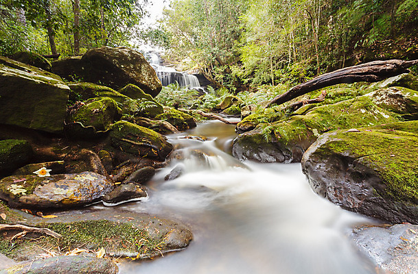 포토 JPG 해외이미지 나무 식물 공원 백그라운드 잎 모션 태국 자연 휴가 휴식 풍경 사람없음 목재 초록색 물 강 놀람 봄 활발 폭포 젖음 흐름 성장 가을 신선 개울 숲 시원함 순수 즐거움 천국 이국적 파라다이스 해외202004 해외포토 자연요소 계절 공공시설 감정 아시아 컬러 컨셉 재료 표정 생태계 파일형식 이미지허브
