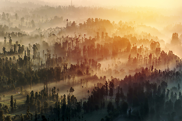 포토 JPG 해외이미지 나무 구름 계절 공원 선 여행 백그라운드 잎 자연 하늘 아침 산 풍경 사람없음 야외 초록색 여름 빛 컬러풀 햇빛 태양 일출 환경 검은색 일몰 새벽 안개 소나무 숲 인도네시아 침엽수 내추럴 뿌연 수목 전국 해외202004 해외포토 주간 자연요소 식물 공공시설 아시아 컬러 날씨 노을 생태계 파일형식 이미지허브