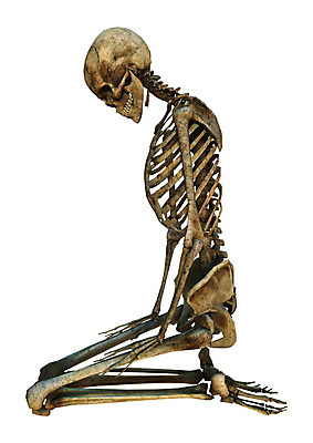 포토 JPG 해외이미지 과학 신체 해부 뼈 골격 사람 사람없음 약 할로윈 흰색 죽음 고립 해골모형 해외202004 해외포토 컬러 의학 모형 파일형식 이미지허브