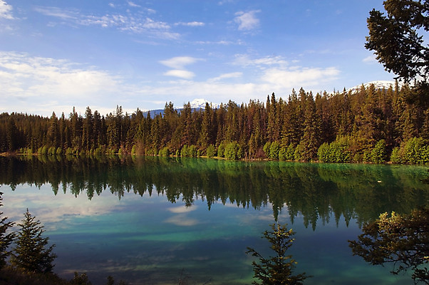 포토 JPG 해외이미지 나무 공원 호수 여행 잎 캐나다 모션 자연 하늘 산 풍경 사람없음 야외 초록색 물 여름 파란색 강 컬러풀 반사 평화 환경 계곡 미국 폭포 흐름 추위 가을 바위 소나무 개울 황무지 숲 순수 에메랄드 앨버타 전국 해외202004 해외포토 자연요소 식물 계절 공공시설 컬러 컨셉 북아메리카 돌_바위 보석 생태계 파일형식 이미지허브