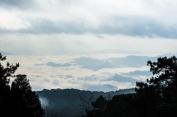 포토 JPG 해외이미지 나무 구름 공원 아시아 겨울 태국 자연 하늘 아침 날씨 산 풍경 사람없음 빛 햇빛 계곡 새벽 안개 흰색 숲 언덕 산등성이 장면 솜털 산악지대 넘어짐 전국 절정 해외202004 해외포토 주간 자연요소 식물 계절 공공시설 나라 컬러 모션 태양 생태계 파일형식 이미지허브