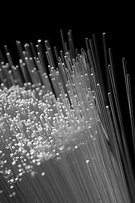 포토 JPG 해외이미지 나무 백그라운드 이동 컨셉 인터넷 통신 미래 기술 사람없음 파란색 빛 검은색 자료 웹 정보 네트워크 투명 고속도로 연결 속도 전자 철사 통화 섬유 공학 진행 소통 광 복잡 네트워킹 주도 해외202004 해외포토 식물 교육 도로 컬러 모션 직물 예절 파일형식 이미지허브