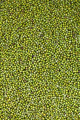 포토 JPG 해외이미지 식물 음식 다이어트 채소 과일 재료 공 콩 건강 요리 씨앗 사람없음 초록색 쌓기 활발 수확 성장 신선 그룹 낟알 시리얼 먹기 오브젝트 유기농 완두콩 내추럴 고립 채식주의자 해외202004 해외포토 웰빙 컬러 컨셉 농업 모션 곡류 채식 파일형식 이미지허브