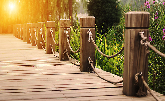 포토 JPG 해외이미지 식물 공원 도로 길 백그라운드 잎 곡선 자국 자연 거리 안내 사람없음 야외 목재 초록색 물 산책 산책로 하이킹 젖음 광선 분위기 습지 널 갑판 내추럴 지그재그 철책 해외202004 해외포토 자연요소 나무 공공시설 선 컬러 컨셉 배_교통 재료 교통시설 레저 휴식 생태계 파일형식 이미지허브