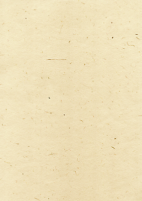 포토 JPG 해외이미지 디자인 종이 백그라운드 패턴 자연 벽지 밥 표면 추상 사람없음 그래픽 장식 책 갈색 공백 재활용 회색 수확 흰색 점 신용카드 거친 유기농 질감 복고 캔버스 결 섬유 시트 내추럴 판지 그런지 스크랩북 양피지 엘리먼트 옛날 핸드메이드 카피스페이스 해외202004 해외포토 웰빙 음식 컬러 무늬 농업 금융 직물 친환경 생태계 파일형식 이미지허브