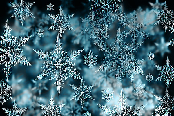 포토 JPG 해외이미지 계절 별 리본 분홍색 백그라운드 크리스마스 겨울 패턴 가방 일러스트 추상 휴가 전등 선물 사람없음 장식 빨간색 초록색 빛 컬러풀 반사 달력 흰색 눈송이 화려 은색 소프트포커스 활 질감 보케 광택 전나무 빛망울 카피스페이스 해외202004 해외포토 자연요소 나무 잡화 기념일 컬러 컨셉 무늬 조명 눈_날씨 촬영기법 공백 파일형식 이미지허브