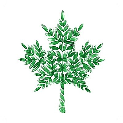 EPS 해외이미지 식물 디자인 백그라운드 단풍 잎 일러스트 수채화 미술 사람없음 초록색 해외202004 해외일러스트 컬러 문화예술 파일형식 벡터 이미지허브