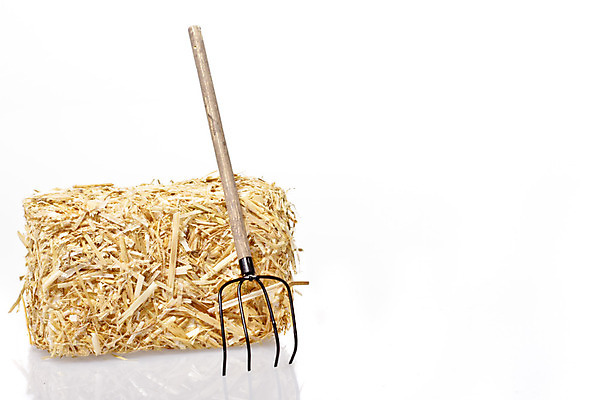 포토 JPG 해외이미지 동물 음식 농업 사람없음 쌓기 가축 흰색 건초더미 볏짚 먹이 빗자루 뭉치 밀짚 고립 쇠스랑 해외202004 해외포토 산업 컬러 모션 건초 짚 청소도구 파일형식 더미 이미지허브