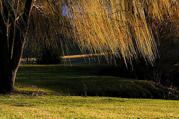 포토 JPG 해외이미지 나무 구름 자연 하늘 독일 풍경 사람없음 야외 초록색 물 파란색 강 컬러풀 맑음 어둠 봄 가을 개울 버드나무 배수구 바이에른 해외202004 해외포토 자연요소 식물 계절 유럽 컬러 날씨 생태계 파일형식 이미지허브