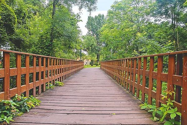 포토 JPG 해외이미지 나무 여행 백그라운드 자연 벽지 날씨 풍경 사람없음 야외 목재 물 여름 강 햇빛 여행객 평화 스파 젖음 흐름 자유 가을 개울 분위기 떨어짐 정상 숲 위험 고도 운하 오르막 무료 해외202004 해외포토 자연요소 식물 계절 컨셉 재료 사람 태양 생태계 파일형식 이미지허브