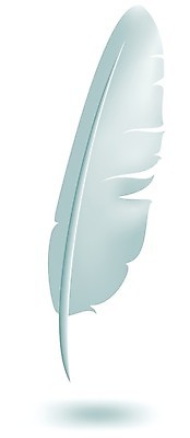 EPS 해외이미지 날개 일러스트 조류 흰색 편지 심볼 깃털 사인 싱글 그림 고립 인공 해외202004 해외일러스트 동물 컬러 파일형식 벡터 이미지허브