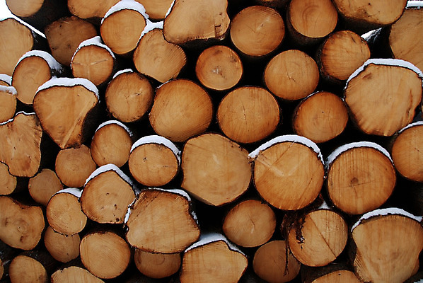 포토 JPG 해외이미지 나무 조각 백그라운드 겨울 패턴 자연 추상 건조 사람없음 목재 농작물 환경 재활용 추위 성장 반지 시간 원형 플랫 숲 낟알 자르기 질감 산등성이 통나무 섬유 잡동사니 낭비 내추럴 벌목 수목 옛날 해외202004 해외포토 도형 식물 계절 컨셉 무늬 농업 재료 장신구 모션 산 직물 친환경 생태계 파일형식 이미지허브