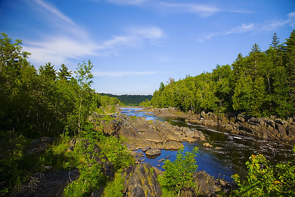 포토 JPG 해외이미지 나무 자연 풍경 사람없음 목재 초록색 물 파란색 강 바위 황무지 숲 내추럴 해외202004 해외포토 자연요소 식물 컬러 재료 돌_바위 생태계 파일형식 이미지허브