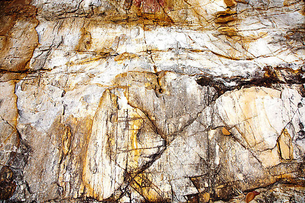 포토 JPG 해외이미지 아시아 백그라운드 잎 패턴 추상 미술 사람없음 야외 빛 모래사장 태양 화목 질감 서식 내추럴 구성 해외202004 해외포토 자연요소 식물 나라 바다 컨셉 무늬 문화예술 파일형식 이미지허브