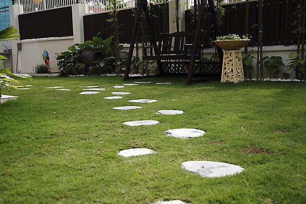 포토 JPG 해외이미지 라이프스타일 공원 선 자연 잔디 사람없음 야외 초록색 걷기 정원 오솔길 조경 단계 해외202004 해외포토 식물 공공시설 길 컬러 모션 생활 생태계 파일형식 이미지허브