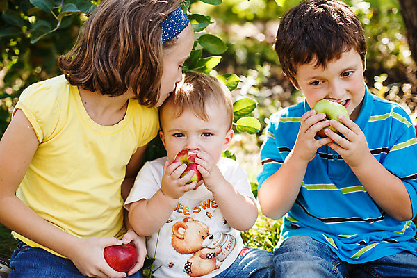 포토 JPG 해외이미지 백인 여자 남자 행복 어린이 음식 밭 과일 가족 자연 건강 사랑 소년 야외 빨간색 세명 맑음 수확 아기 사과 과수원 먹기 언니 남동생 해외202004 해외포토 서양인 감정 컬러 농업 관계 모션 날씨 사람 생태계 자매 동생 파일형식 이미지허브