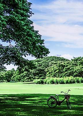 포토 JPG 해외이미지 나무 식물 구름 공원 꽃 길 백그라운드 잎 꽃무늬 자연 하늘 풍경 잔디 사람없음 야외 장식 초록색 여름 정원 자전거 벚꽃 개화 큼 원예 해외202004 해외포토 자연요소 계절 공공시설 컬러 무늬 취미 바이크 크기 생태계 파일형식 이미지허브