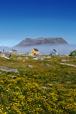 포토 JPG 해외이미지 자연 하늘 풍경 사람없음 여름 파란색 컬러풀 노란색 시골 도시 그린란드 옛날 해외202004 해외포토 계절 컬러 섬 덴마크 생태계 파일형식 이미지허브