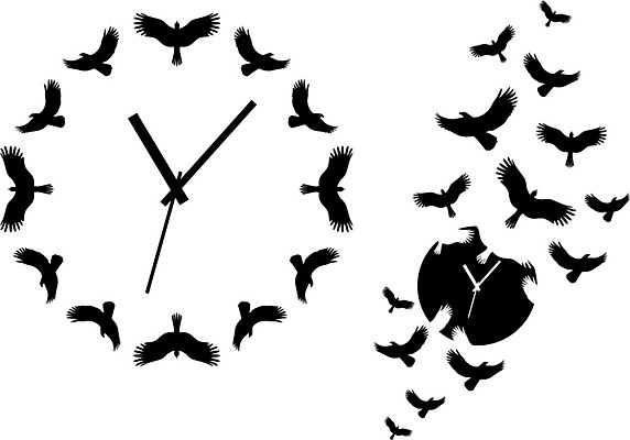 EPS 해외이미지 모양 동물 디자인 실루엣 벽 시계 컨셉 날개 일러스트 조류 미술 그래픽 장식 세트 검은색 자유 흰색 시간 원형 자르기 심볼 손목시계 오브젝트 그림 독수리 고립 무료 분 엘리먼트 충고 해외202004 해외일러스트 도형 컬러 장신구 모션 문화예술 촬영기법 파일형식 벡터 이미지허브