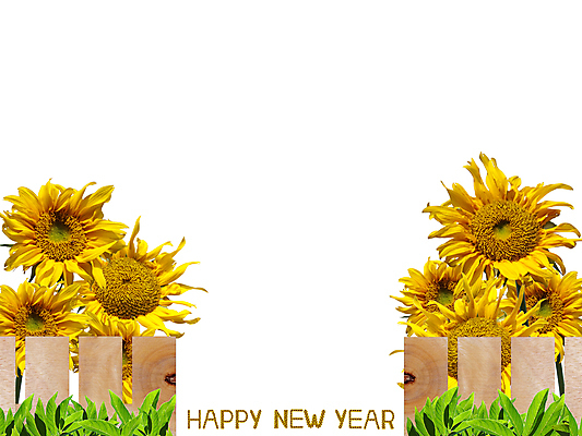 포토 JPG 해외이미지 디자인 계절 꽃 행복 길 클리핑패스 백그라운드 컨셉 잎 텍스트 휴가 해바라기 새로움 타이포그라피 사람없음 울타리 우주 정원 벚꽃 흰색 자르기 편지 연도 해피뉴이어 고립 해외202004 해외포토 식물 문자 감정 컬러 모션 담장 새해인사 파일형식 이미지허브