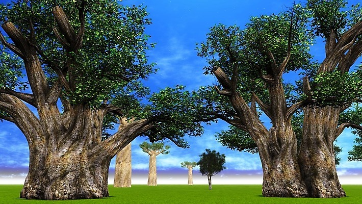 포토 JPG 해외이미지 모양 나무 식물 공원 실루엣 야생동물 여행 오렌지 아프리카 자연 하늘 풍경 사람없음 야외 파란색 빛 세트 세계 태양 노란색 일출 환경 황혼 일몰 나뭇가지 원주민 큼 제비꽃 사파리 윤곽 내추럴 마다가스카르 사바나 옛날 이국적 전국 해외202004 해외포토 자연요소 동물 공공시설 꽃 나라 컬러 과일 촬영기법 노을 아프리카인 크기 생태계 파일형식 이미지허브