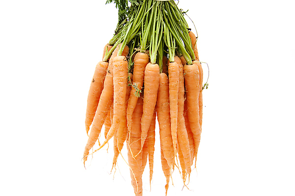 포토 JPG 해외이미지 식물 음식 줄기 잎 채소 건강 사람없음 초록색 식사 당근 수확 신선 먹기 흰배경 날것 해외202004 해외포토 컬러 백그라운드 농업 모션 뿌리채소 흰색 파일형식 이미지허브