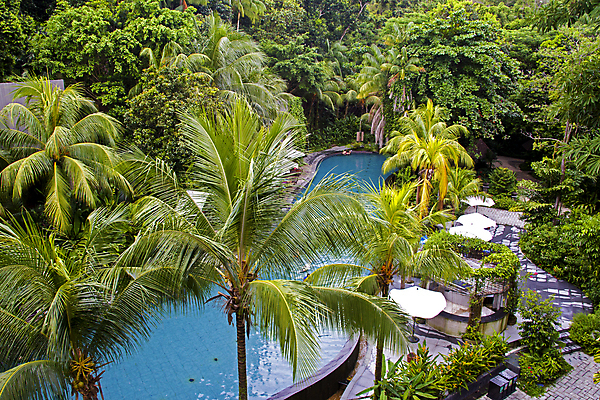 포토 JPG 해외이미지 나무 식물 계절 여행 백그라운드 우산 자연 호텔 휴가 휴식 수영장 손바닥 사람없음 야외 초록색 물 파란색 정원 수영 스파 침묵 꿈 고급 정상 휴양지 이국적 터키석 파라다이스 해외202004 해외포토 자연요소 손 컬러 컨셉 숙소 소리 장소 수상스포츠 보석 생태계 파일형식 이미지허브